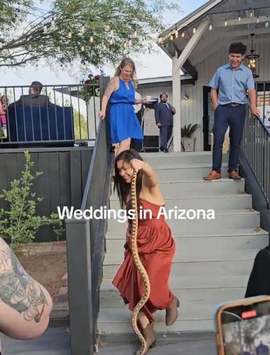 تصرف غير متوقع لفتاة في حفل زفاف شقيقتها