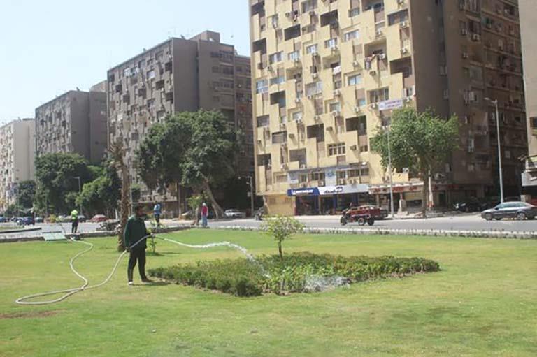 الأشجار والمسطحات الخضراء في شارع أحمد عرابي بالمهندسين 