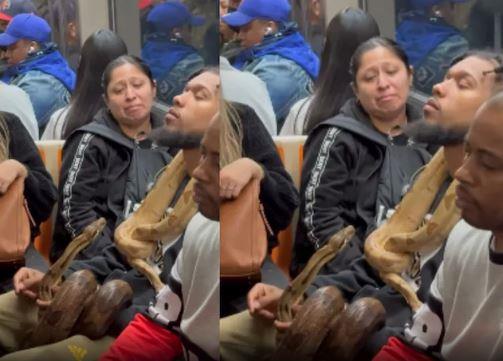 رجل يحمل ثعابين داخل عربة مترو