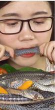 فتاة كورية تأكل ثعبان حي 