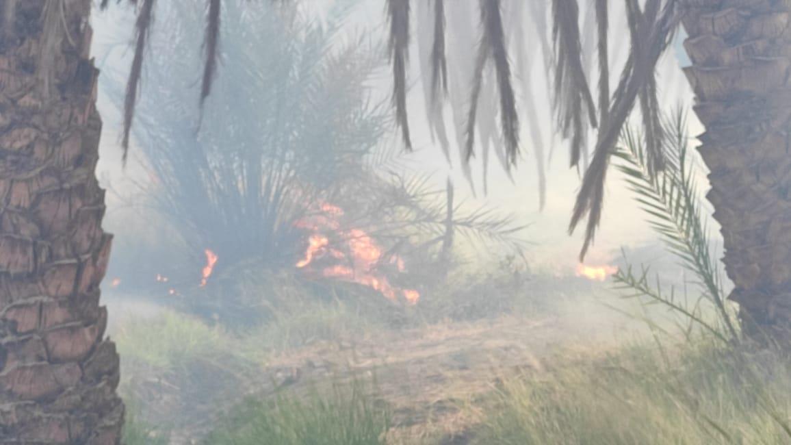 نشوب حريق بمزرعة نخيل بقرية الشيخ والي بالداخلة