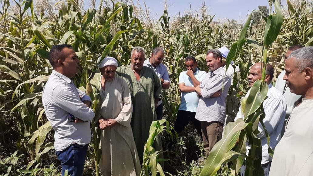 الفرق الإرشادية الريفية