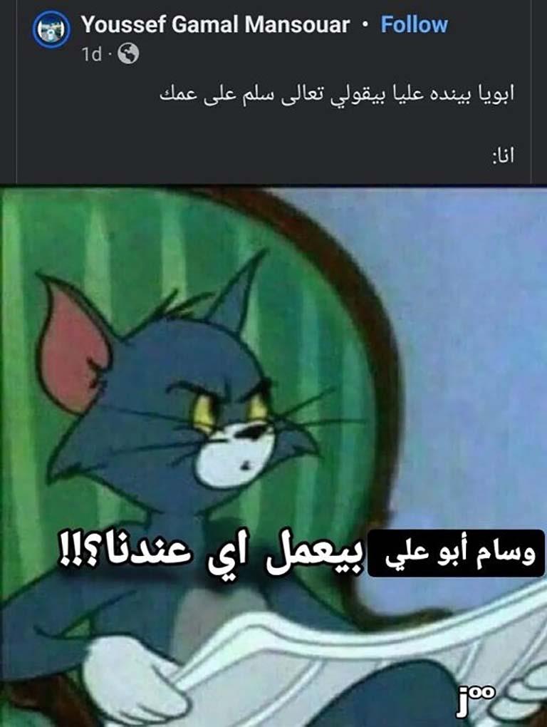 سام أبو علي 3