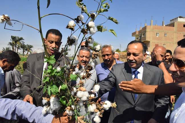 محافظ أسيوط يفتتح موسم جنى القطن وسط فرحة المزارعين وغناء الأطفال للذهب الأبيض (5)