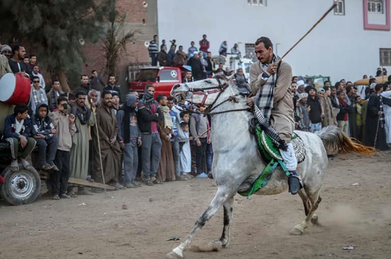 احتفالات المولد النبوي الشريف بقنا (1)