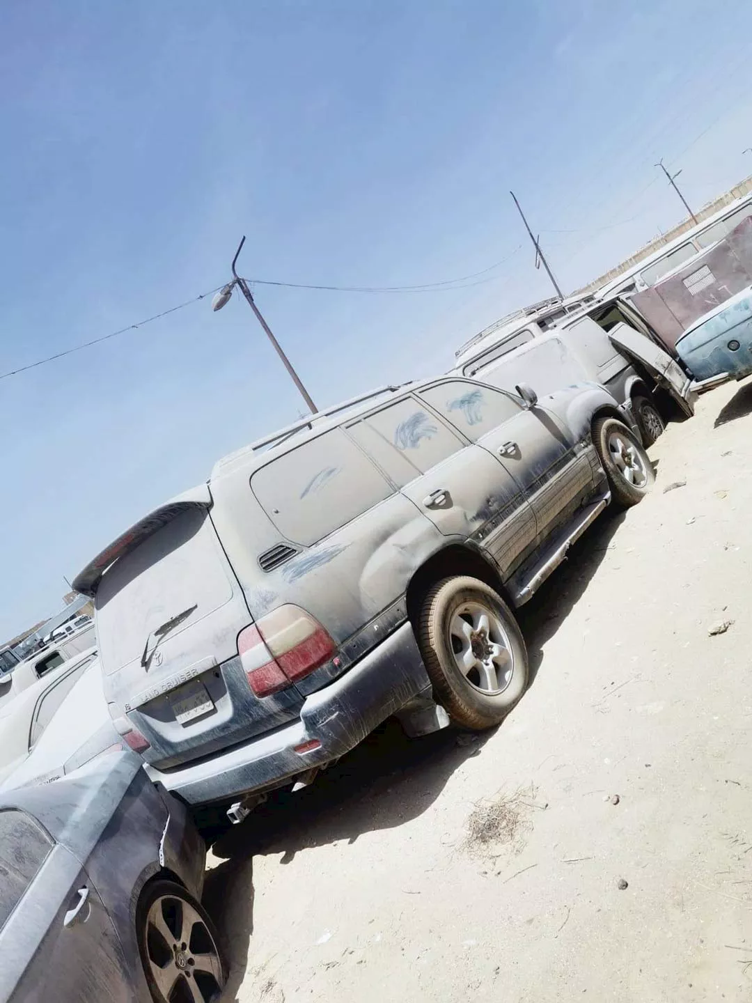 جانب من سيارات المزاد