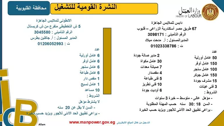 5242 فرصة عمل بـ8 محافظات برواتب مجزية