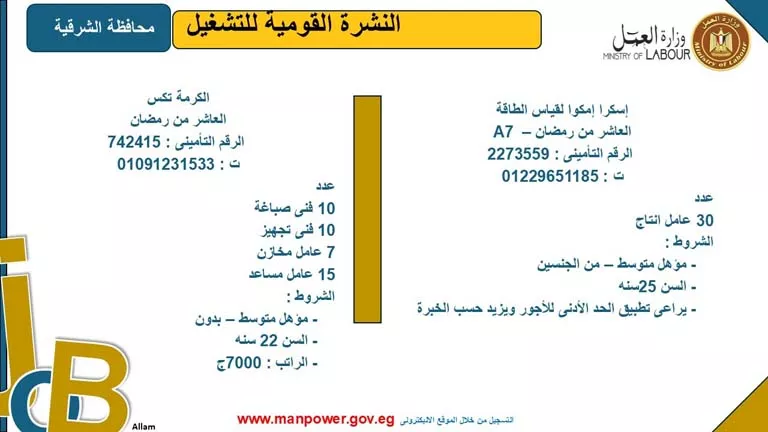5242 فرصة عمل بـ8 محافظات برواتب مجزية