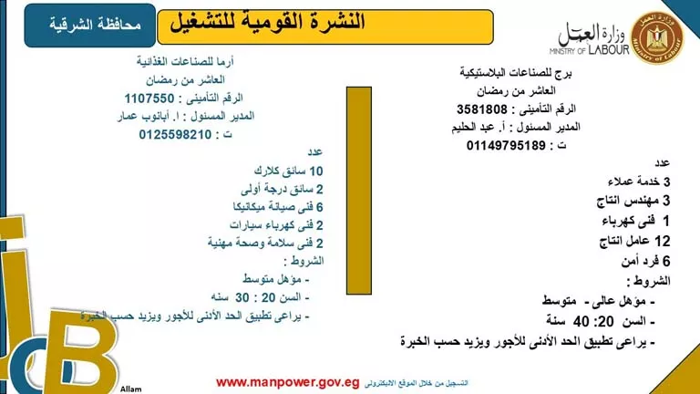 5242 فرصة عمل بـ8 محافظات برواتب مجزية