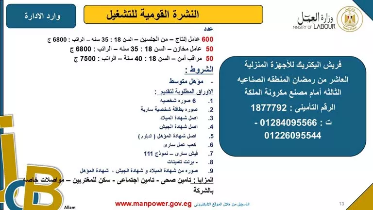 5242 فرصة عمل بـ8 محافظات برواتب مجزية