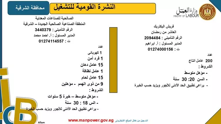 5242 فرصة عمل بـ8 محافظات برواتب مجزية