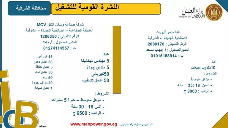 5242 فرصة عمل بـ8 محافظات برواتب مجزية