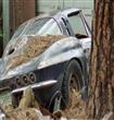 abandoned-supercars-and-racecars-4                                                                                                                    