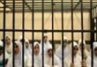 التايمز:  مصر تسجن تلميذات كعقاب للتظاهر السلمي 