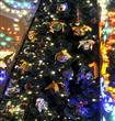 شجرة الميلاد من دولتشي أند غابانا                                                                                                                     