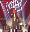 the voice                                                                                                                                             