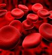 فصيلة الدم قد تُزيد خطر الإصابة بأمراض القلب