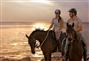 Sir Bani Yas Stables - Royal Bay Ride