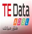 TEdata تحصد أيزو إدارة المخاطر وأمن المعلومات
