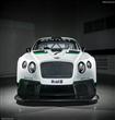 Bentley-Continental_GT3_Racecar_2014_800x600_wallpaper_07                                                                                             