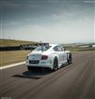 Bentley-Continental_GT3_Racecar_2014_800x600_wallpaper_06                                                                                             