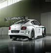 Bentley-Continental_GT3_Racecar_2014_800x600_wallpaper_04                                                                                             