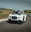 Bentley-Continental_GT3_Racecar_2014_800x600_wallpaper_02                                                                                             