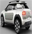 citroen-cactus-concept-1378479582107_956x500                                                                                                          