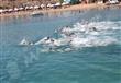 انطلاق البطولة العربية للسباحة للمياه المفتوحة بمش