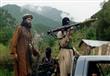  تواصل جماعة طالبان في باكستان تمردها المسلح ضد حك