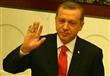 "يحق لأردوغان التأكد من أن أي قرار سيتخذه بشأن سور