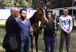 البطولة الدولية للخيول العربية (1)                                                                                                                    