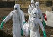 الدول التي ضربها فيروس إيبولا لم تتمكن من تشغيل عد