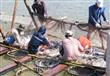 0.7'' زيادة في إنتاج الأسماك في مصر خلال 2012