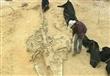 بالفيديو.. اكتشاف مقبرة حيتان في تشيلي عمرها 5 ملا