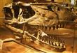 اكتشاف نوع جديد من الديناصورات في البرتغال