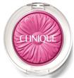 Clinique Colour Pop in Plum Pop                                                                                                                       