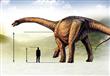 العثور على  أكبر ديناصور على الإطلاق عاش على الأرض