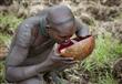 بالصور- طقوس ''الدونجا'' في اثيوبيا..قتال بالرماح وشرب دماء البقر الطازجة