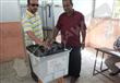 لجنة الانتخابات بالإسكندرية: لا شكاوى داخل اللجان 