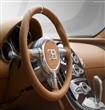 Bugatti-Veyron_Rembrandt_Bugatti_2014                                                                                                                 