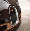 Bugatti-Veyron_Rembrandt_Bugatti_2014                                                                                                                 