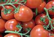دراسة: الطماطم تُزيد من خصوبة الرجل وتساعد فى علاج