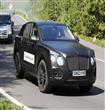 bentley suv                                                                                                                                           