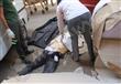 بالصور- مصرع أحد عمال مطابع روز اليوسف سقط من الدور الـ13 للمؤسسة 