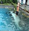 امرأة تقفز بسيارتها داخل حوض سباحة