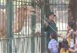 بالصور- حديقة الحيوان تستقبل زائريها في ثاني أيام العيد