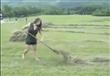 فتاة كادحة تحصد محصول أرض زراعية بمفردها