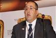 وزير الاستثمار يستعرض التعاون المشترك بين مصر ومال