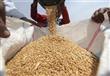 مصر تشتري 175 ألف طن من القمح الروسي والروماني